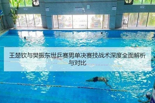 王楚钦与樊振东世乒赛男单决赛技战术深度全面解析与对比